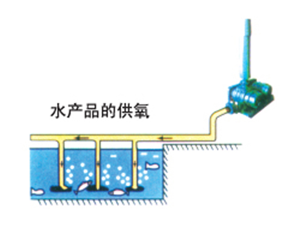 水產養(yǎng)殖供氧